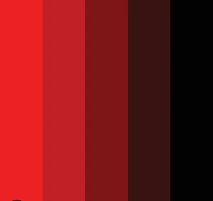 VSP RED COLLECTION